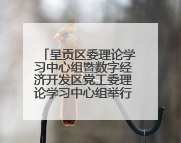 呈贡区委理论学习中心组暨数字经济开发区党工委理论学习中心组举行2025年第七次学习会议