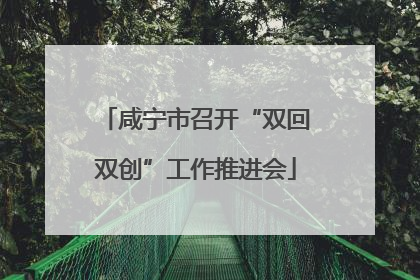 咸宁市召开“双回双创”工作推进会