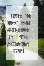 唐代“独幽琴”亮相岳阳楼博物馆 千年琴韵洞庭湖畔苏醒