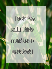 啄木鸟家庭上门维修在规范化中寻找突破
