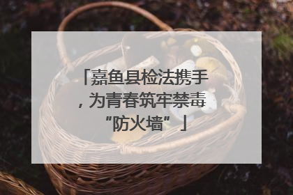 嘉鱼县检法携手，为青春筑牢禁毒“防火墙”