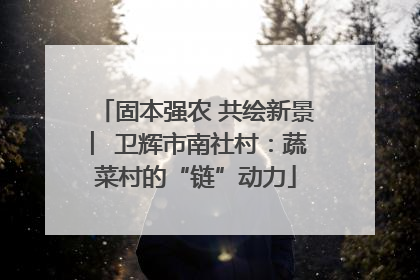固本强农 共绘新景 ︳卫辉市南社村：蔬菜村的“链”动力