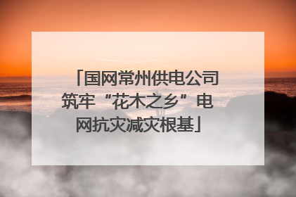 国网常州供电公司筑牢“花木之乡”电网抗灾减灾根基