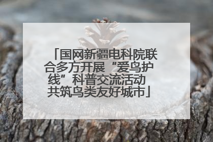 国网新疆电科院联合多方开展“爱鸟护线”科普交流活动 共筑鸟类友好城市