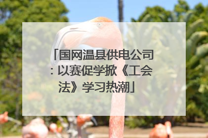 国网温县供电公司：以赛促学掀《工会法》学习热潮