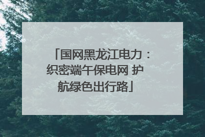 国网黑龙江电力：织密端午保电网 护航绿色出行路