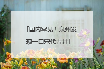 国内罕见！泉州发现一口宋代古井