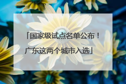 国家级试点名单公布！广东这两个城市入选