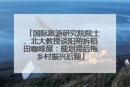 国际旅游研究院院士、北大教授谈阳朔拆稻田咖啡屋：规划滞后拖乡村振兴后腿