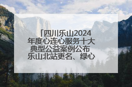 四川乐山2024年度心连心服务十大典型公益案例公布 乐山北站更名、绿心路井盖治理等上榜