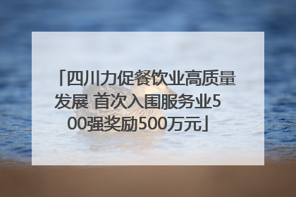 四川力促餐饮业高质量发展 首次入围服务业500强奖励500万元
