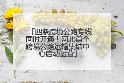 四条跨境公路专线同时开通！河北首个跨境公路运输集结中心启动运营