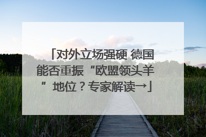 对外立场强硬 德国能否重振“欧盟领头羊”地位？专家解读→