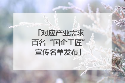 对应产业需求 百名“国企工匠”宣传名单发布