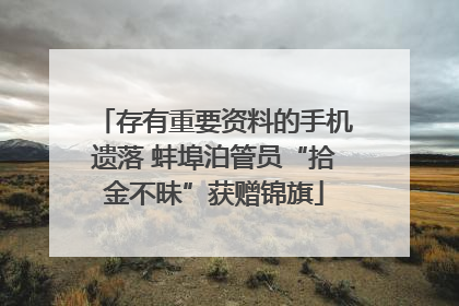 存有重要资料的手机遗落 蚌埠泊管员“拾金不昧”获赠锦旗