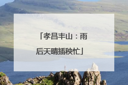 孝昌丰山：雨后天晴插秧忙