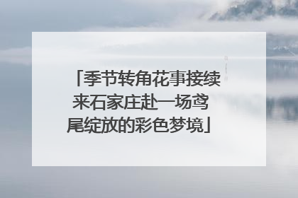 季节转角花事接续 来石家庄赴一场鸢尾绽放的彩色梦境