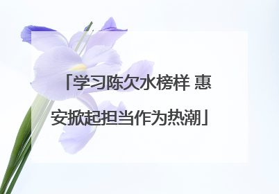 学习陈欠水榜样 惠安掀起担当作为热潮