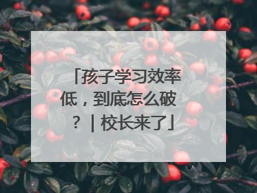 孩子学习效率低，到底怎么破？｜校长来了
