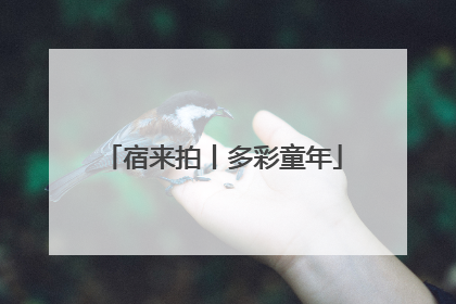 宿来拍丨多彩童年