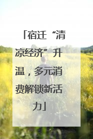 宿迁“清凉经济”升温，多元消费解锁新活力