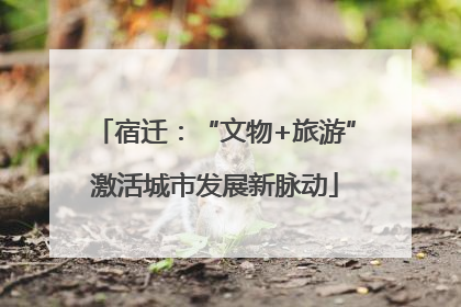 宿迁：“文物+旅游”激活城市发展新脉动