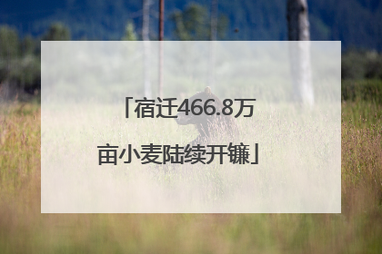 宿迁466.8万亩小麦陆续开镰