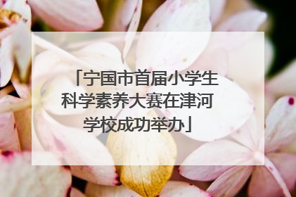 宁国市首届小学生科学素养大赛在津河学校成功举办