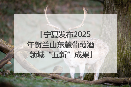 宁夏发布2025年贺兰山东麓葡萄酒领域“五新”成果