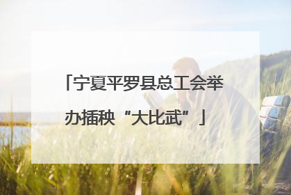 宁夏平罗县总工会举办插秧“大比武”