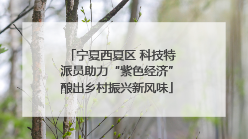 宁夏西夏区 科技特派员助力“紫色经济”酿出乡村振兴新风味