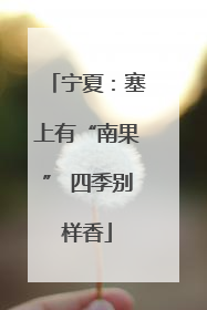 宁夏：塞上有“南果” 四季别样香