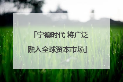宁德时代 将广泛融入全球资本市场