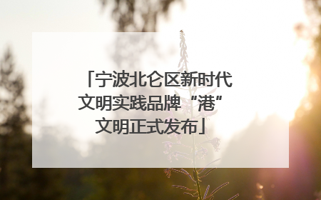 宁波北仑区新时代文明实践品牌“港”文明正式发布