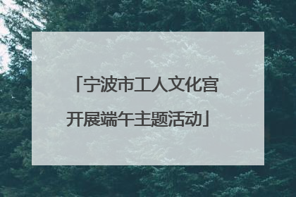 宁波市工人文化宫开展端午主题活动