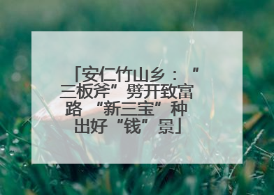 安仁竹山乡：“三板斧”劈开致富路 “新三宝”种出好“钱”景
