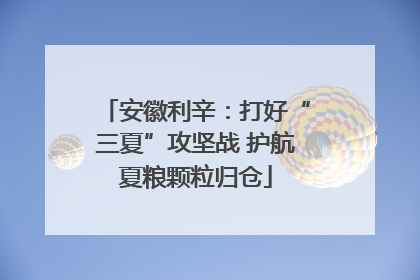 安徽利辛：打好“三夏”攻坚战 护航夏粮颗粒归仓