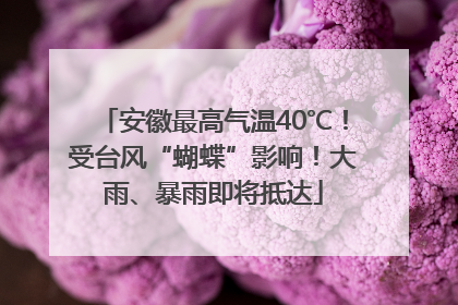 安徽最高气温40℃！受台风“蝴蝶”影响！大雨、暴雨即将抵达