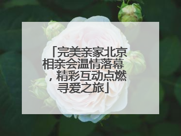 完美亲家北京相亲会温情落幕，精彩互动点燃寻爱之旅