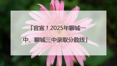 官宣！2025年聊城一中、聊城三中录取分数线