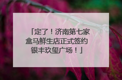 定了！济南第七家盒马鲜生店正式签约银丰玖玺广场！