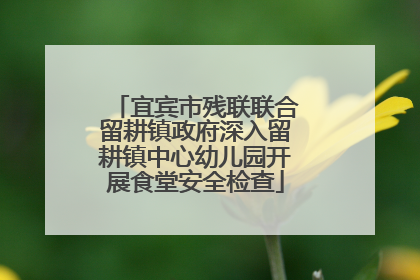 宜宾市残联联合留耕镇政府深入留耕镇中心幼儿园开展食堂安全检查
