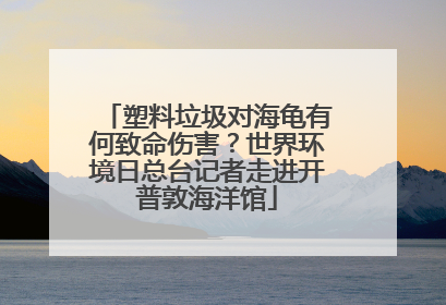 塑料垃圾对海龟有何致命伤害？世界环境日总台记者走进开普敦海洋馆
