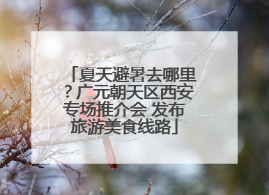 夏天避暑去哪里？广元朝天区西安专场推介会 发布旅游美食线路