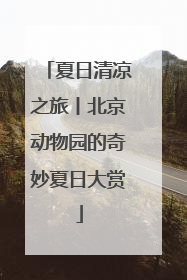 夏日清凉之旅丨北京动物园的奇妙夏日大赏