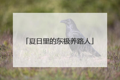 夏日里的东极养路人