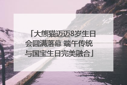 大熊猫迈迈8岁生日会圆满落幕 端午传统与国宝生日完美融合