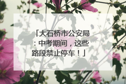 大石桥市公安局：中考期间，这些路段禁止停车！