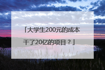 大学生200元的成本干了20亿的项目？