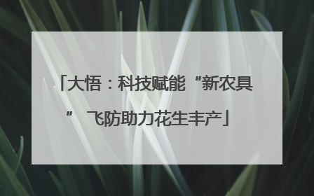 大悟：科技赋能“新农具” 飞防助力花生丰产